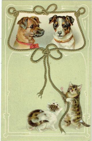 H Maguire Artist Old Postcard Kitten Cats & Dogs Embossed