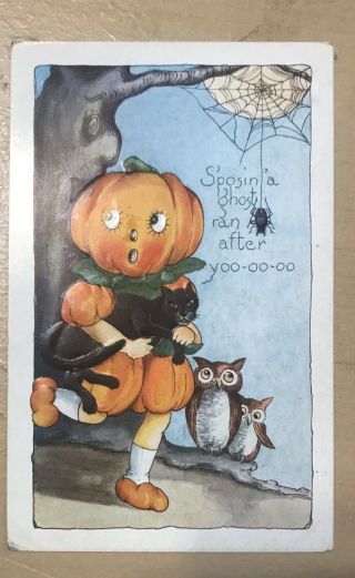 Pumpkin Girl With Black Cat & Spiderweb On Halloween Postcard C1912 Whitney