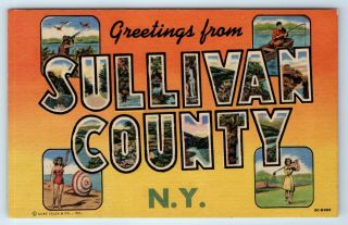 Vintage Postcard Linen Large Letter Greetings From Sullivan County York Ny