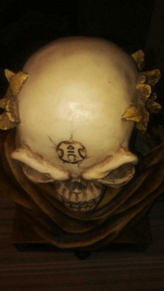 House of Alchemy Alchemus Maximus Vampire Skull Bust Gothic Sculpture 3