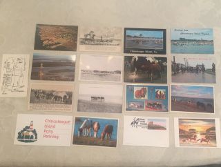 Chincoteague & Assateague Postcards; 3 With Pony Penning Day Postmarks