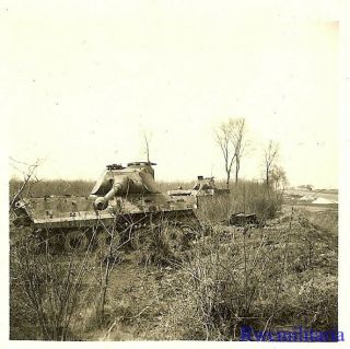 RARE KO ' d German TIGER II Heavy Panzer Tanks in Open Field 2