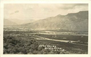 Rppc Postcard 5.  Ojai Valley,  Santa Paula Ca Ventura County,  Orchards & Town