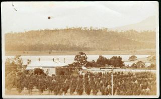 Tasmania Hobart " Strathavon Orchard " Claremont 1917 8 Miles From Hobart Rppc
