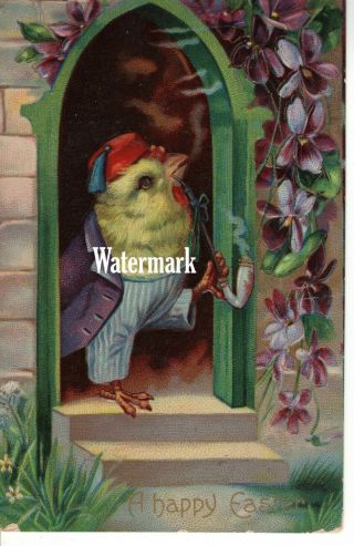 Rare Vintage Easter Chick In A Suit And Hat Anthropomorphic