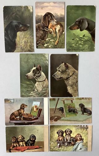 Vintage Dog Postcards (9) Artist Signed August Muller Dog Portraits,  Puppies