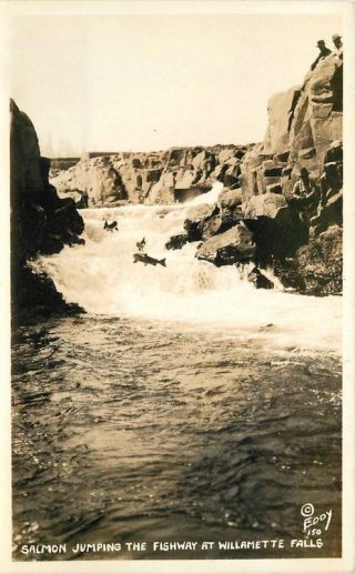 1930s Salmon Jumping Fishway Willamette Falls Eody Rppc Real Photo Postcard 1680
