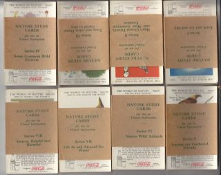 Vintage 1930s Coca - Cola World Of Nature Study Cards 8 Packs Set Of 96 Cards