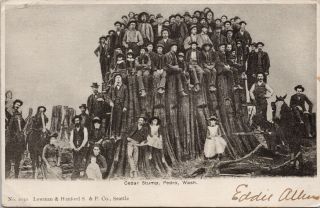 Pedro Wa Cedar Stump People Sitting Lowman Hanford C1906 Postcard E58