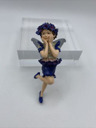 Retired Cicely Mary Barker Flower Fairies Ornament Cornflower Fairy