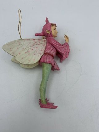 Retired Cicely Mary Barker Flower Fairies Ornament Figurine Orchis Flower Fairy 3