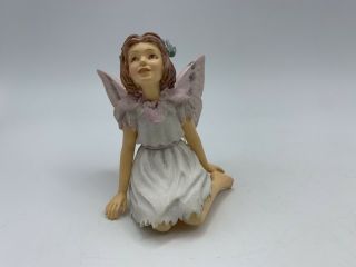 Retired Cicely Mary Barker Flower Fairies Ornament Figurine Stork ' s Bill Fairy 2