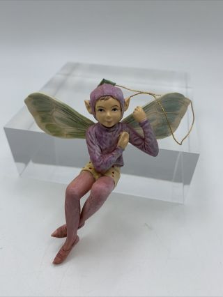 Retired Cicely Mary Barker Flower Fairies Ornament Figurine Fox Glove Fairy