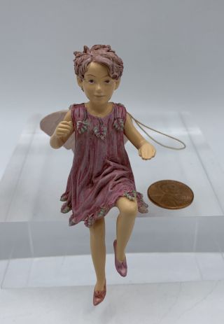 Retired Cicely Mary Barker Flower Fairies Ornament Figurine Totter - Grass Fairy 2