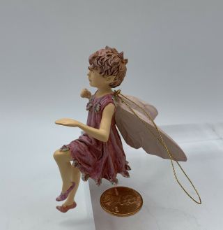 Retired Cicely Mary Barker Flower Fairies Ornament Figurine Totter - Grass Fairy 3