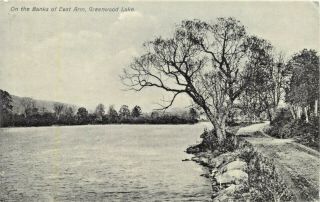 A View On The Banks Of The East Arm,  Greenwood Lake,  York Ny 1908