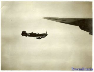 Org.  Photo: Aerial View of US P - 40 Fighter Planes Flying Escort Mission (2) 2