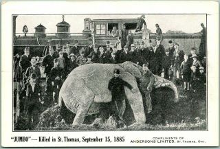 Barnum & Bailey Circus Postcard " Jumbo The Elephant Killed In St.  Thomas " Canada