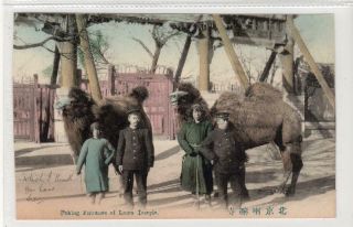 Entrance Of Lama Temple,  Peking: China Postcard (c55402)