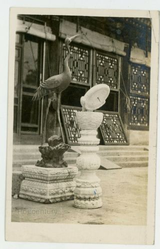 1910s Rppc Postcard China Peking Peiping Forbidden City Bird Vintage Photograph
