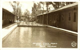 Pool At Stock Farm Dude Ranch,  Reno,  Nevada,  Rppc,  Vintage Postcard