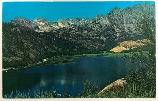 Bishop California Postcard Ca North Lake Bird 