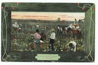Vintage Post Card C.  1909 Cotton Field Pickers Horses Wagon Loading