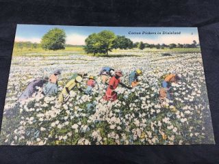 Vintage Black Americana Cotton Pickers In Dixieland Color Postcard Unposted