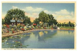 Il Postcard W_7806 Fish Hatchery,  Lake Park,  East St.  Louis,  Il