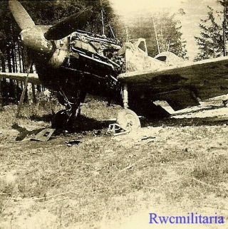 Org.  Photo: Us Soldier View Abandoned Luftwaffe Me - 109 Fighter Plane In Woods