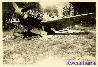 Org.  Photo: US Soldier View Abandoned Luftwaffe Me - 109 Fighter Plane in Woods 2