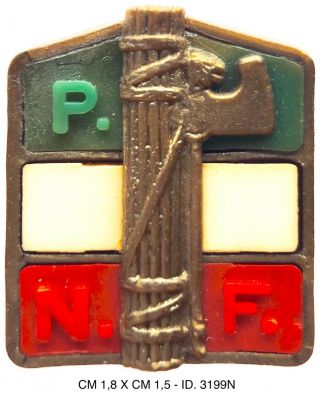 Partito Nazionale Fascista Raro Modello In Bachelite Distintivo P.  N.  F.  “2617”