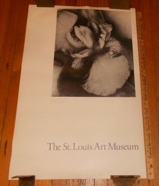 1980 Vintage Poster Man Ray Photograph St Louis Art Museum