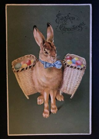 Bunny Rabbit With Baskets Of Colored Eggs Easter Fantasy Postcard - B641