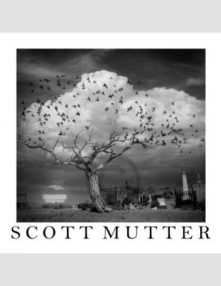 Scott Mutter Poster/print/ 