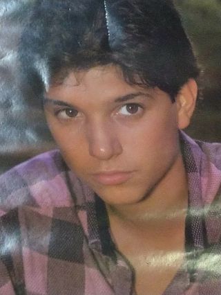Ralph Macchio As Karate Kid - Poster 1986 Columbia Pictures Funky Poster Co.