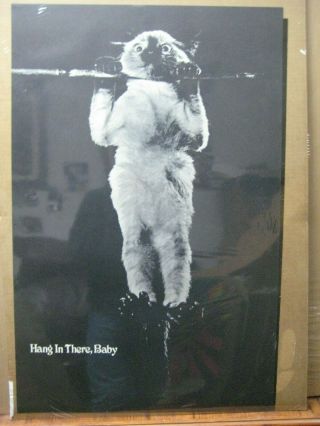 Vintage Black And White Poster Hang In There,  Baby 1970 
