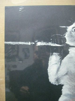 Vintage Black and white Poster Hang In There,  Baby 1970 ' s cat Inv G6085 3