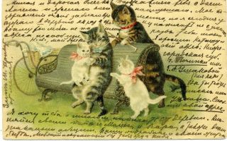 Antique Cats Family Mom Dad Pram Twins Russian Postcard Sent Minsk In 1905