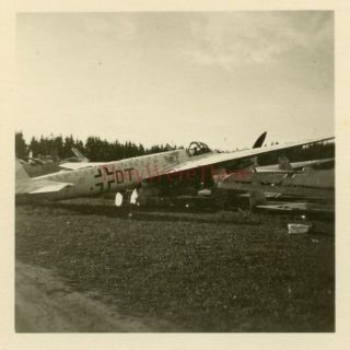 Wwii Photo - Us View Of Captured German Ju 88 Bomber Plane W/ Camo Marked (dt)