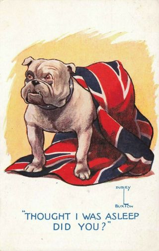 Ww1 Dudley Buxton Patriotic Comic Postcard: Bulldog & Union Jack Flag Theme