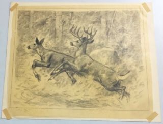 Reinhold H.  Palenske Drawing Wildlife Scene Deer Running Let 