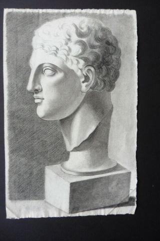 French Sch.  Ca.  1800 - Study Classical Bust Young Greek - Fine Charcoal Drawing