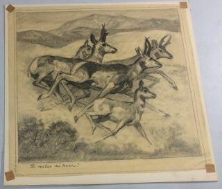 Reinhold H.  Palenske Drawing Wildlife Scene Deer Running 50 Mph