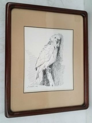 Susan G Holland Pnw Artist Pen,  Ink Bird Drawing Macbeth Framed 15x12