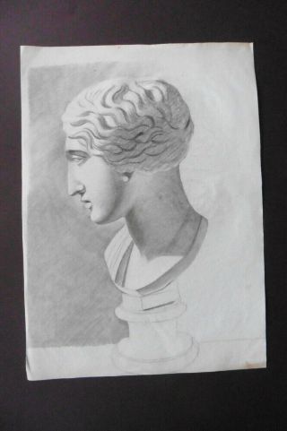 French School Ca.  1800 - Study Classical Bust - Fine Charcoal Drawing