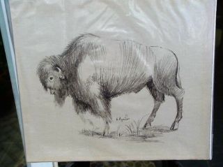 Artist Signed Pen & Ink Drawing Of A Buffalo Ca.  1940 