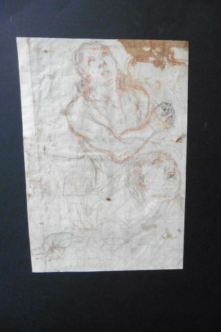 Italian - Bolognese School 17thc - Intriguing Figure Studies By Sirani - Red Chalk