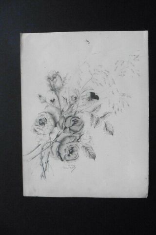 French School 1888 - Refined Study Of Flowers Signed WÜrz - Pencil Drawing