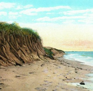 Sand Dunes And Surf Beach Shoreline Illustration Cape Cod Ma Vintage Postcard